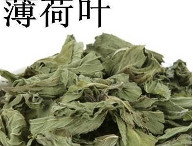 新鲜薄荷叶泡水的禁忌（薄荷的9种现代药理作用）