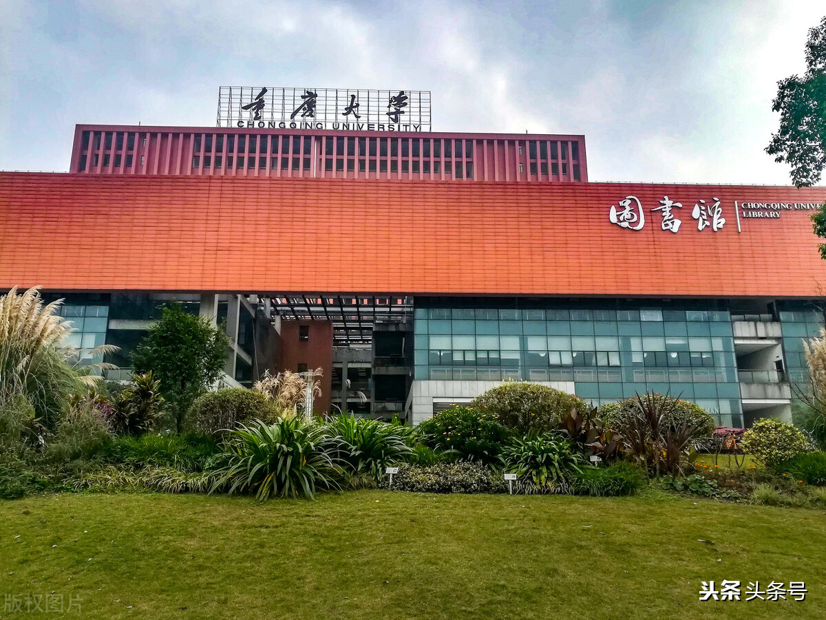 四大直辖市命名的大学，怎么排名？