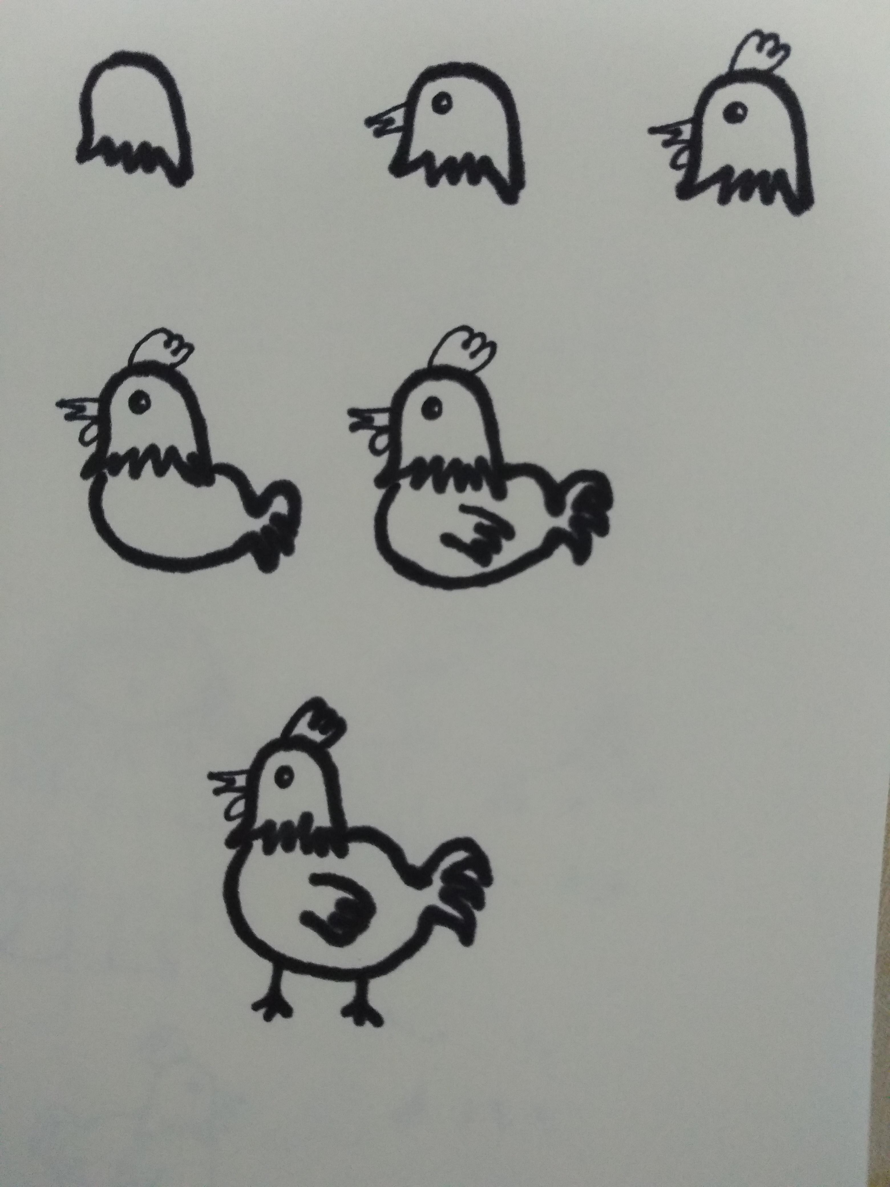 鸡,部首:鸟笔画:7组词:公鸡,母鸡,鸡蛋,柴鸡,鸡笼,鸡冠鸡,家禽,品种