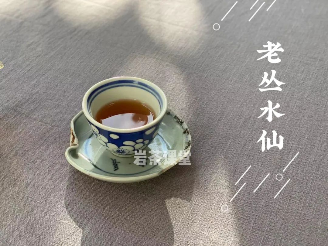 无论水仙、肉桂、大红袍，300元能买到一斤正岩岩茶吗？