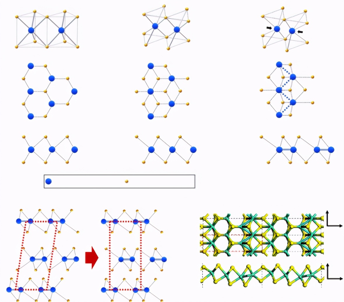 上海大学13项最新科研成果引起国际关注！
