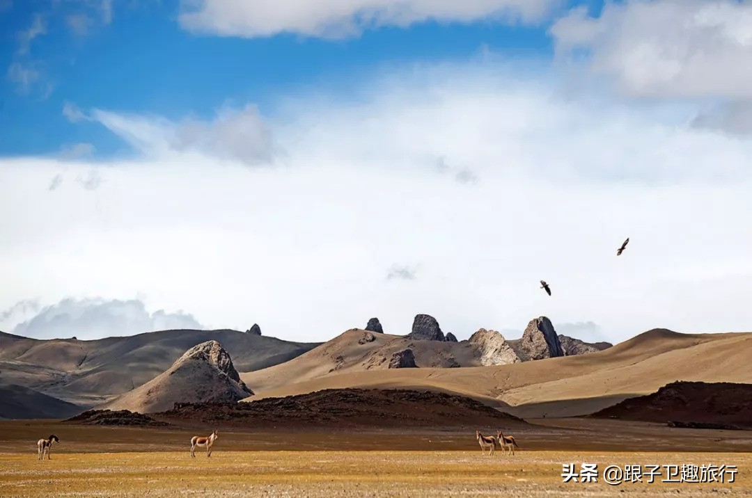 盘点中国“四大无人区”里的著名景点，你都知道哪些？