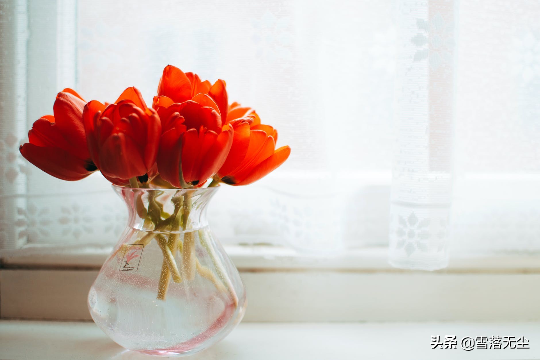 无论和谁在一起，别高估感情，别低估人性