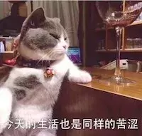 病毒顽强，致死率高达90%，让猫和主人措手不及的猫瘟如何预防？