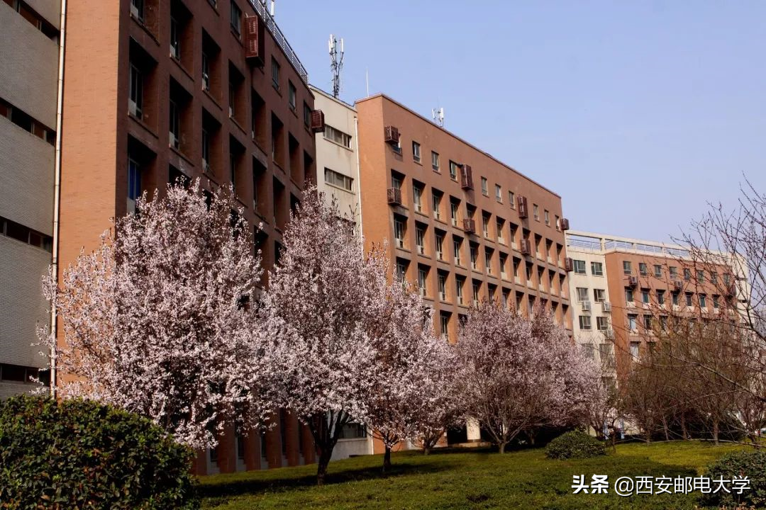 西安邮电大学长安图片