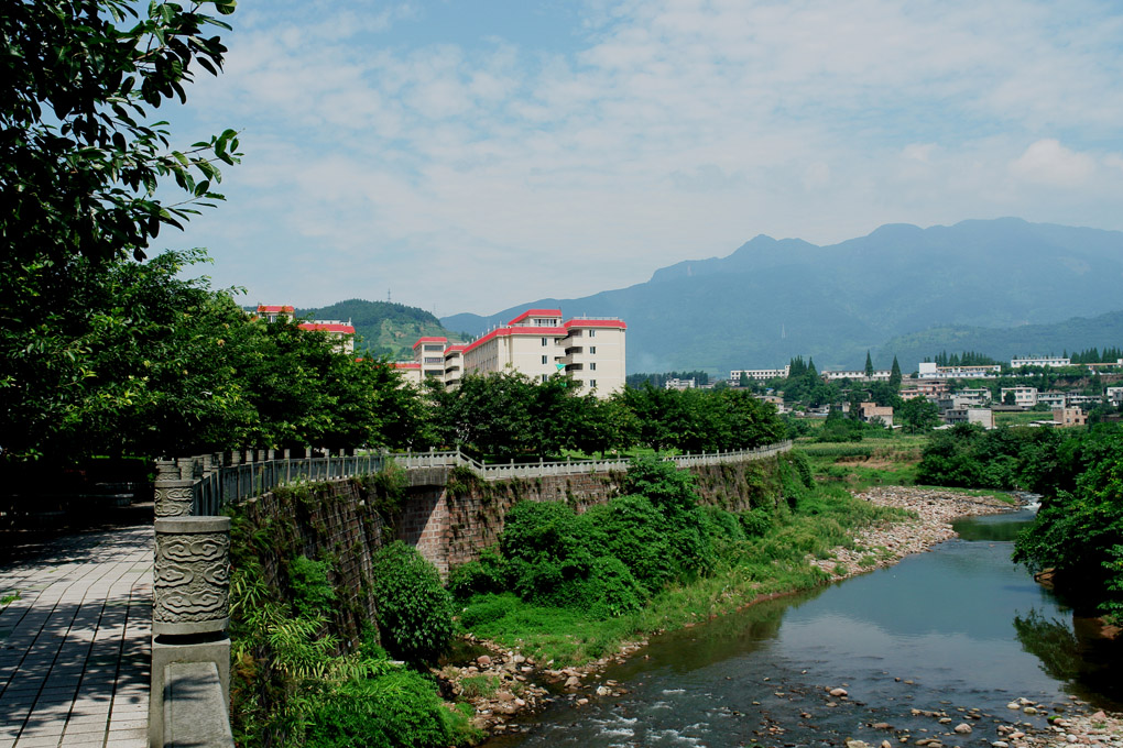 “双一流”四川农业大学艺考政策解读，美术生多少分可以录取？