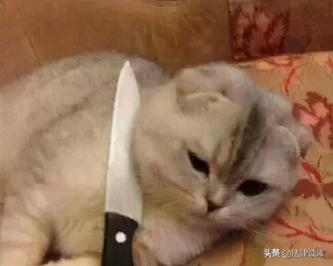 2020版最新法官、检察官表情大全！哈哈哈