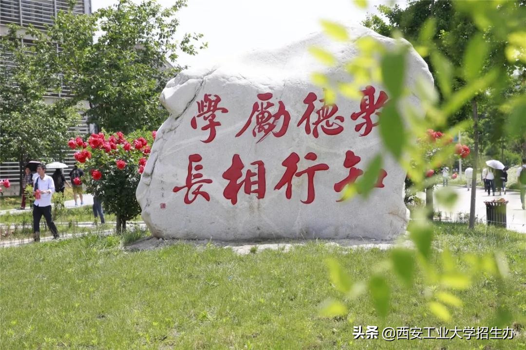 特等奖、一等奖！短短一个月，西安工大承包了各类大奖