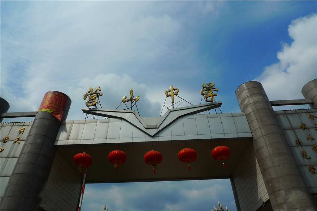 四川南充五所高中2020高考，南充高中、南部中学，瓜分市文理状元