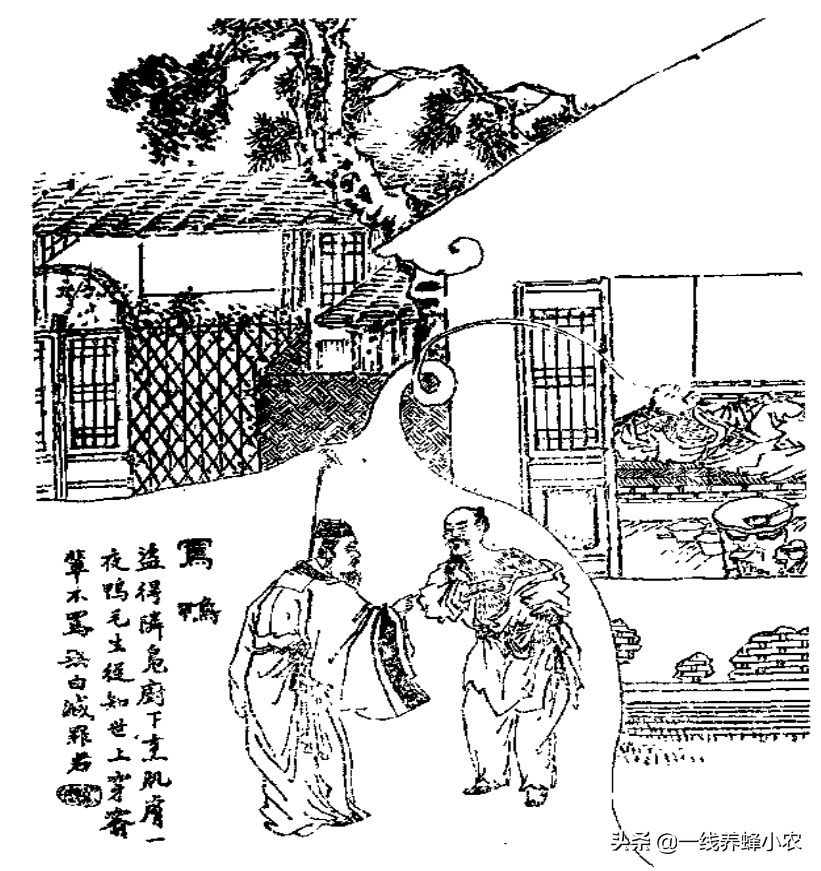 蒲松龄《骂鸭》