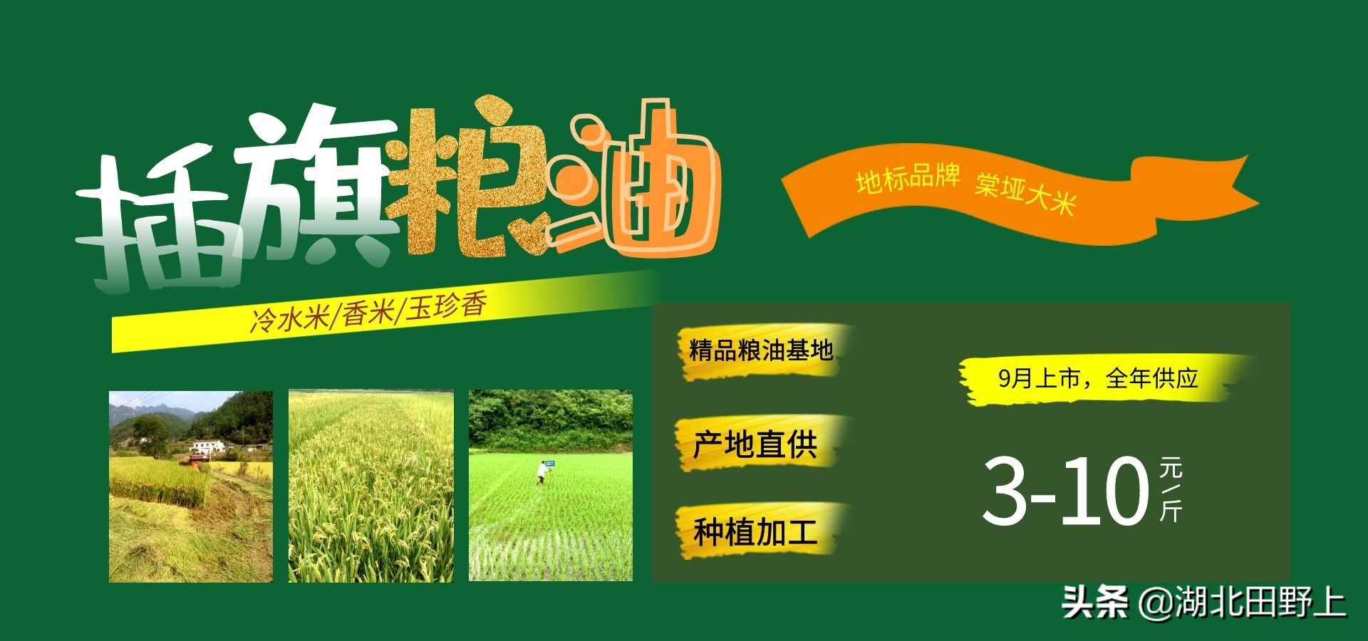 田野上團(tuán)隊(duì)回訪(fǎng)美麗的分鄉(xiāng)鎮(zhèn)插旗村