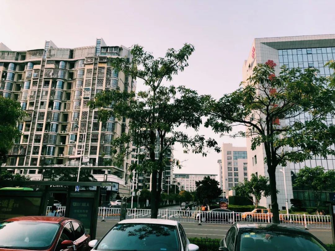 老破小一平10万+！我们走遍厦门18所名校，为你曝光最贵学区房！