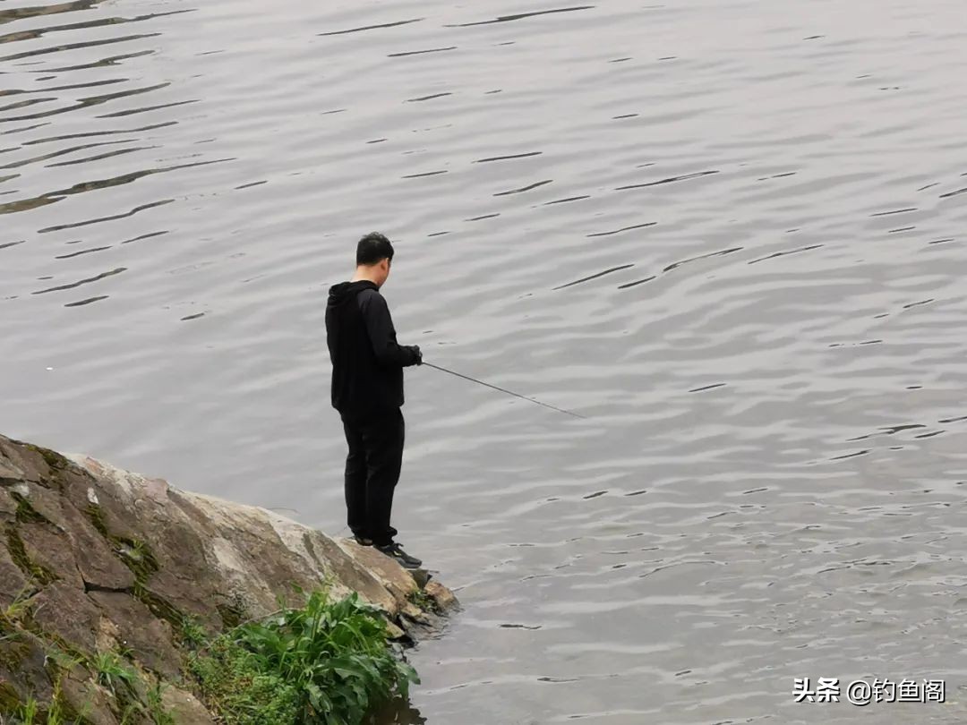 路亚又烧钱又钓不着多少鱼，为何还有那么多人爱玩？