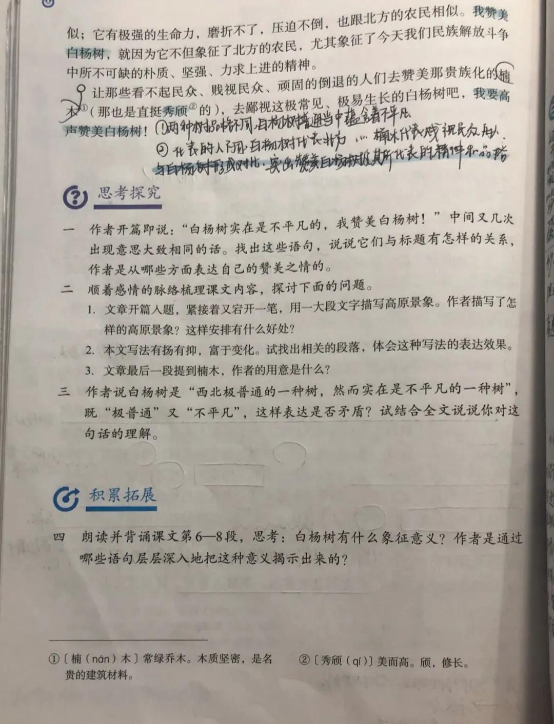 白杨礼赞好词好句好段赏析收集86句