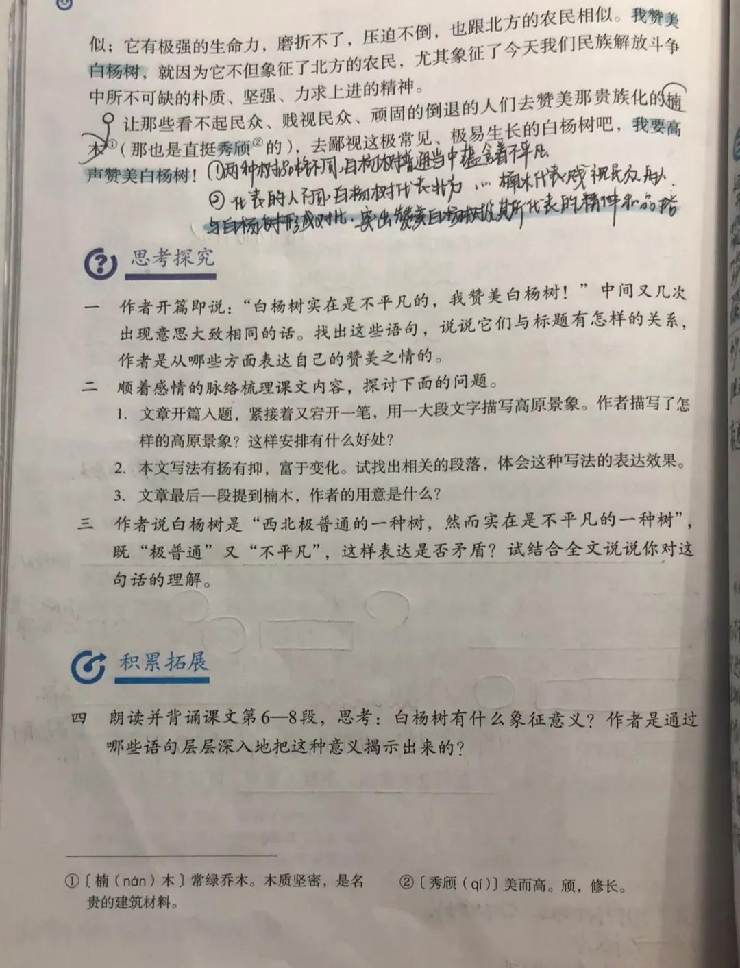 八年級語文上冊十五課《白楊禮讚》課文筆記,自主預習的好幫手