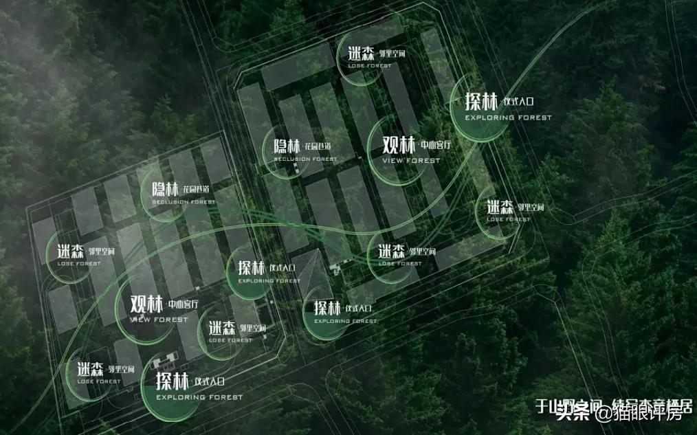 蔡家风云再起，C位竟被它占据