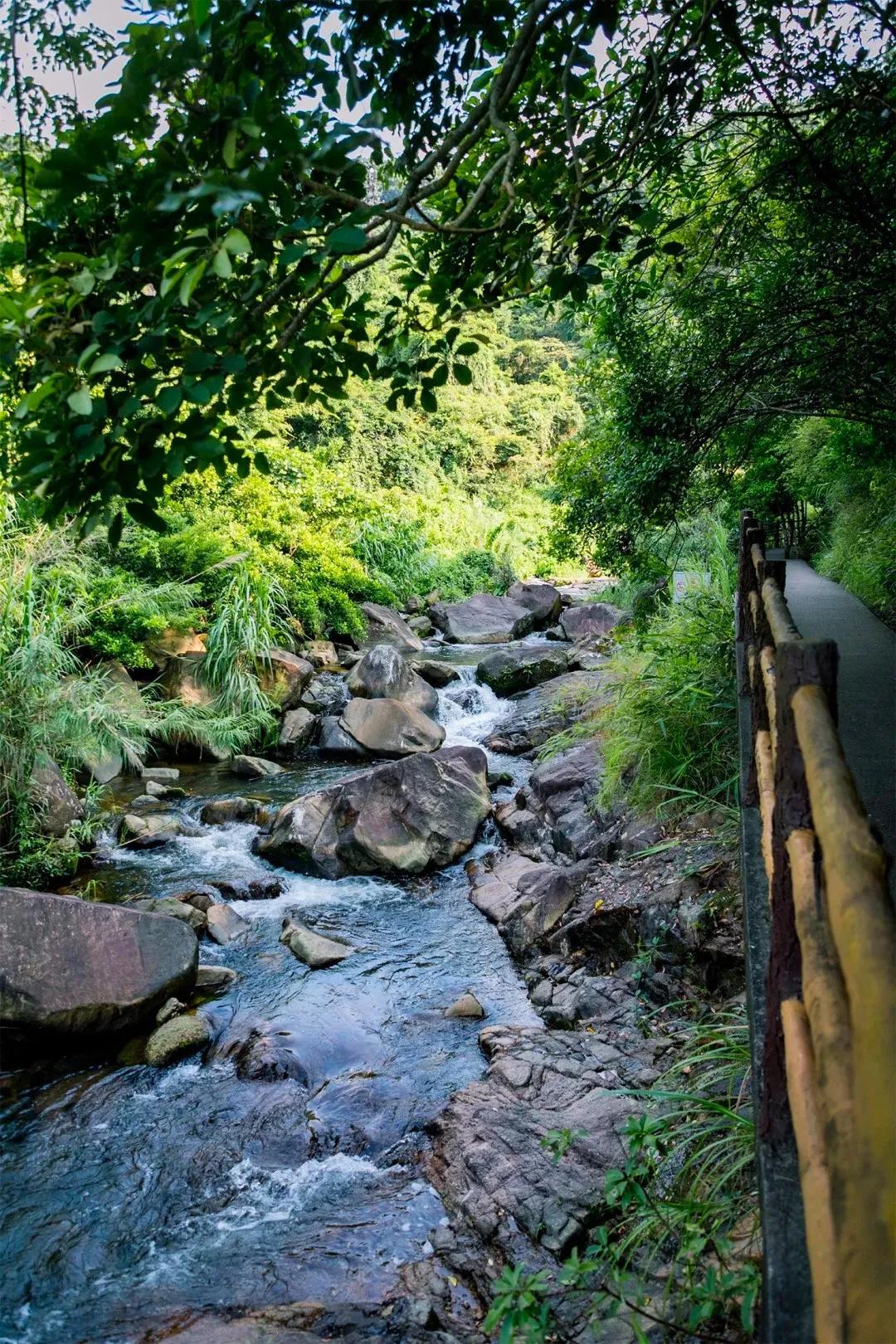 深圳值得征服的10座山，你去过几座？