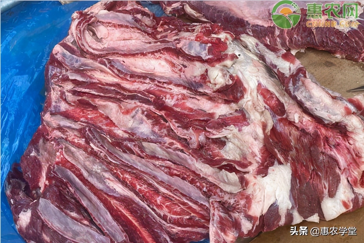 2021牛肉价格多少钱一斤？节后牛肉的行情走势是怎样？