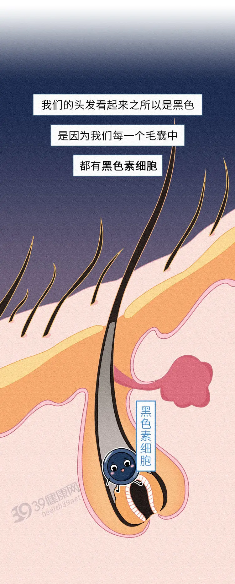 长出来的白发还能变黑吗（白头发怎么改善养出黑发）