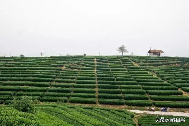 丽水的这座宝藏小县城，隐秘于浙西南的世外桃源