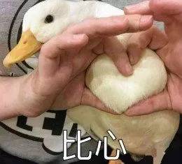 打底襪怎么挑才不土不丑？