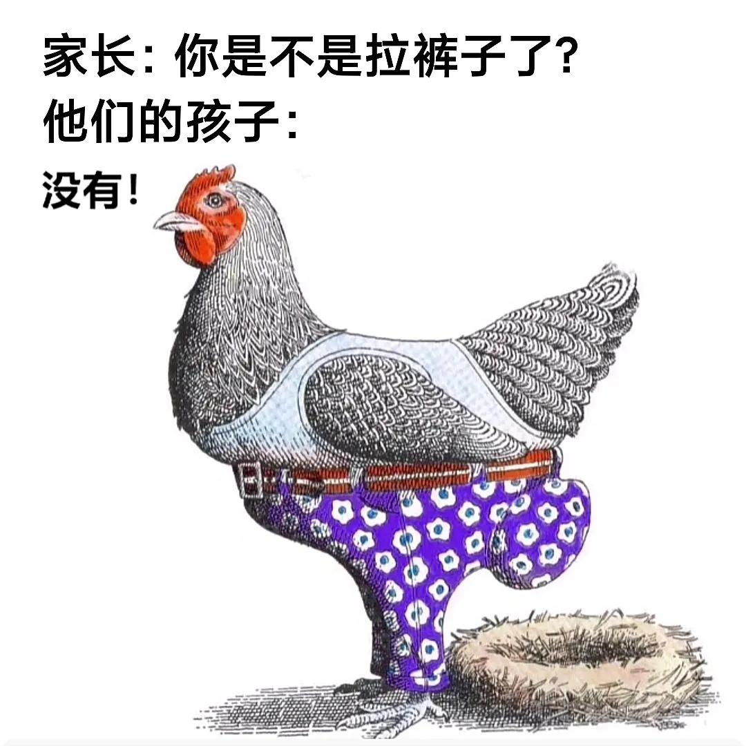 送前妻什么生日礼物好（送前妻什么礼物最好）