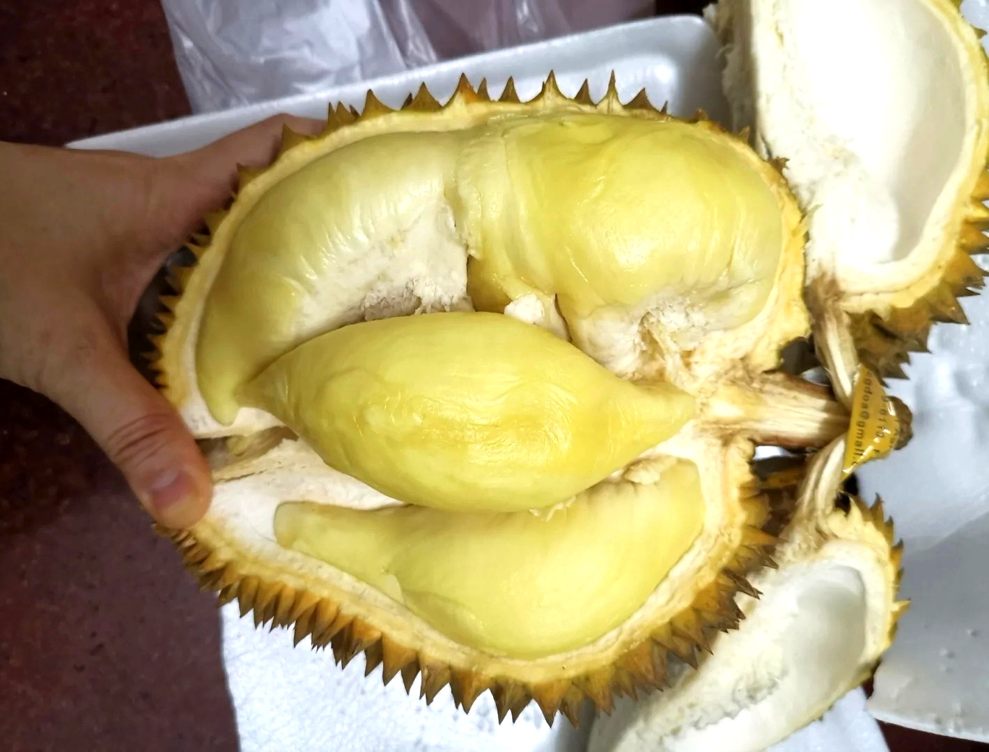 大家都在晒"最近开的榴莲",这出肉率,我怀疑榴莲是来报恩的