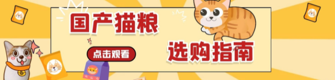 性价比之王！这五款国产猫粮最适合上班族养猫，让你轻松喂好主子。