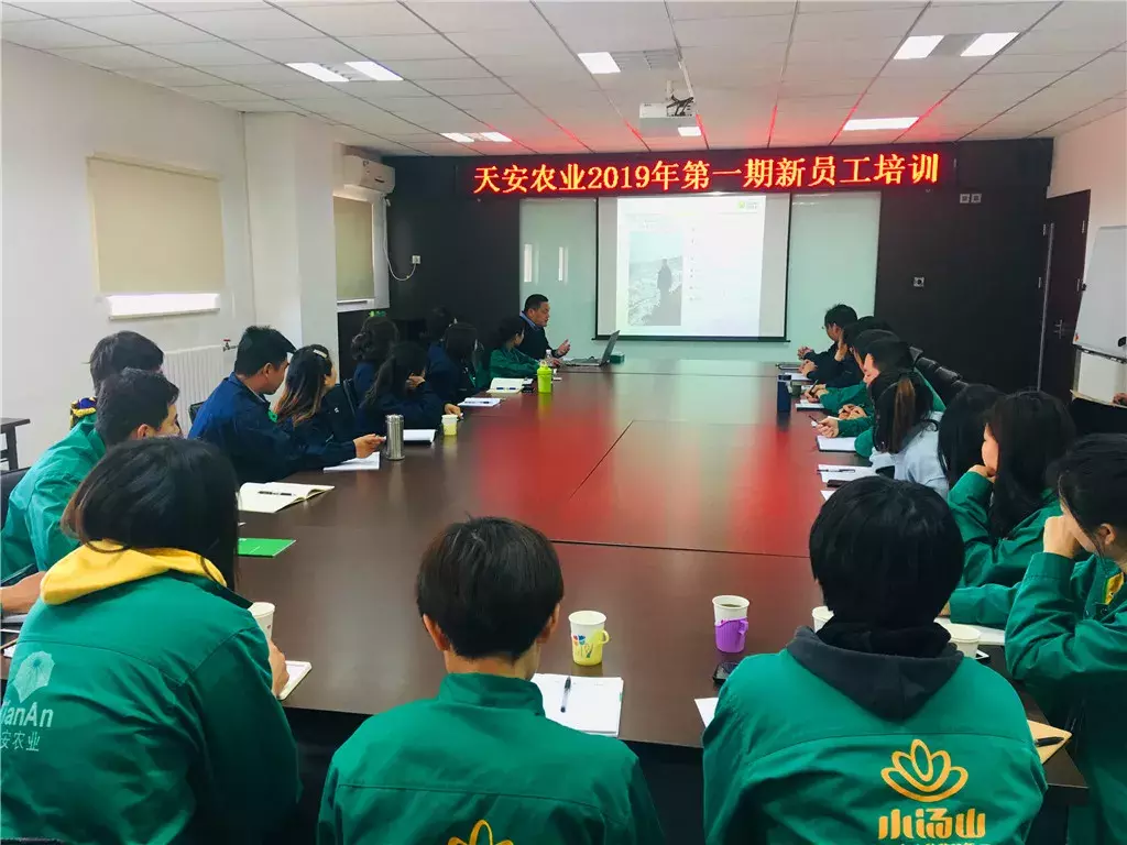 三十三农业集团——30年专注蔬菜种植，以品质树口碑。