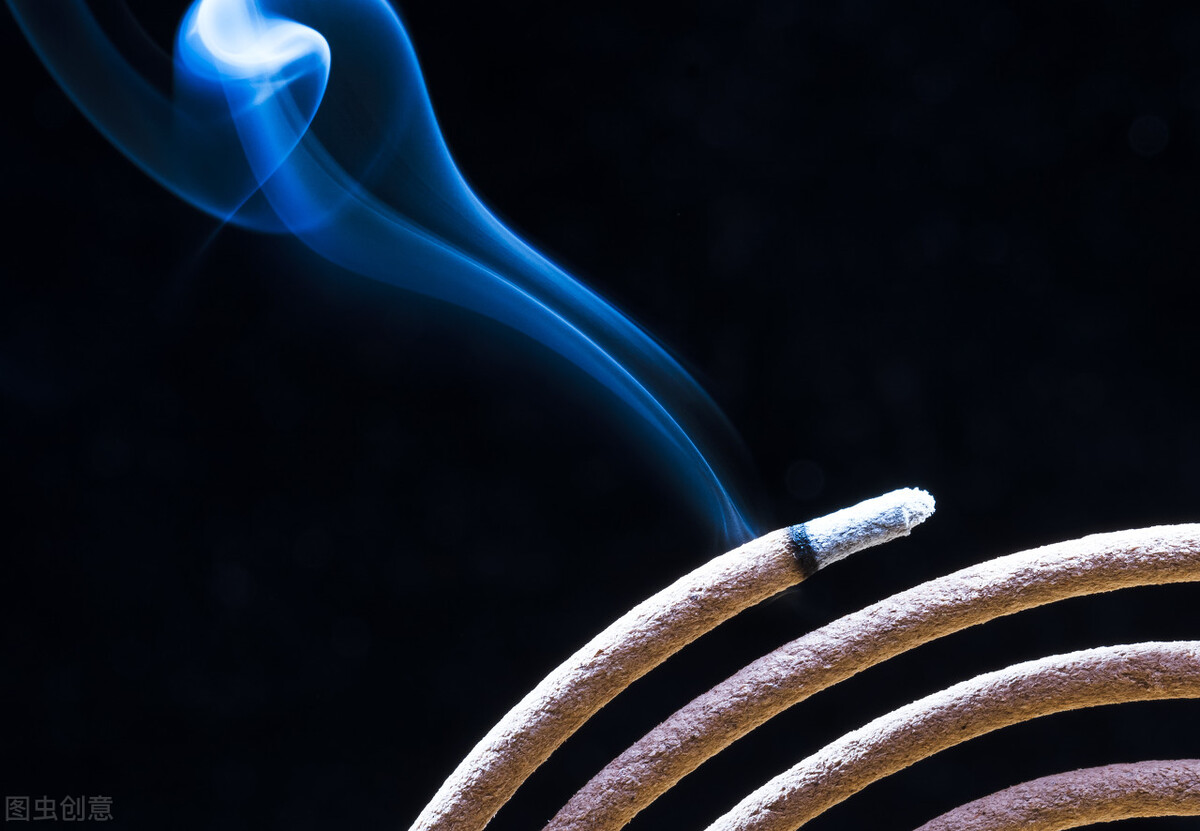 渊回儒家：孔子的《大学》为何位列四书之首？曾子的著作入门读物