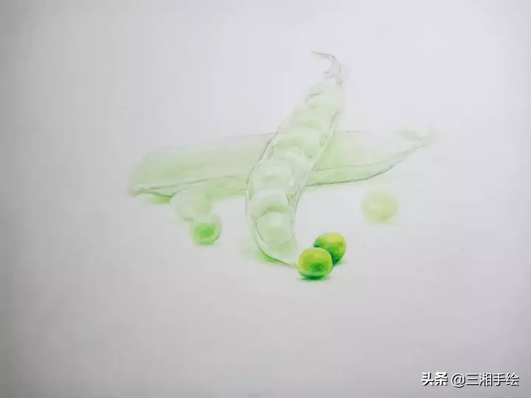 彩铅教程,豌豆荚画的淋漓尽致,零基础容易上手