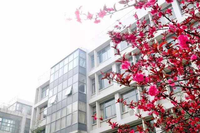 瞩目！5个单词，带你了解西安外国语大学的