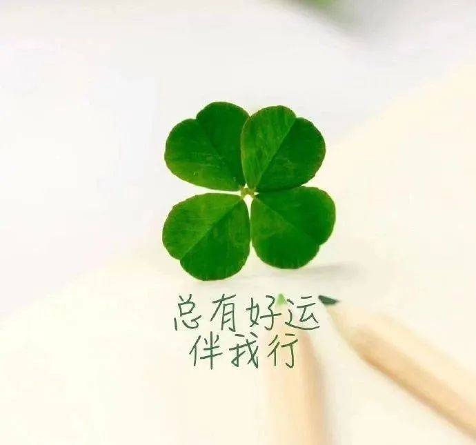 2020最流行的人生感悟经典语录,每一句都触动心灵