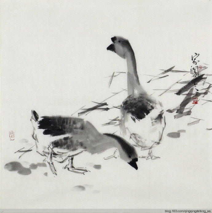 国画名家画鹅欣赏