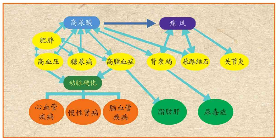 大三小伙尿酸高达640，且出现肾损伤，只因天天在学校做这两件事