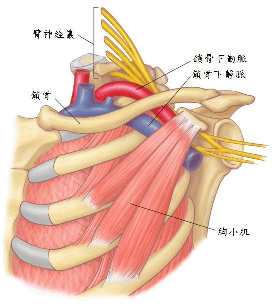 手麻常见的九种疾病，记住特点别再只当做颈椎病