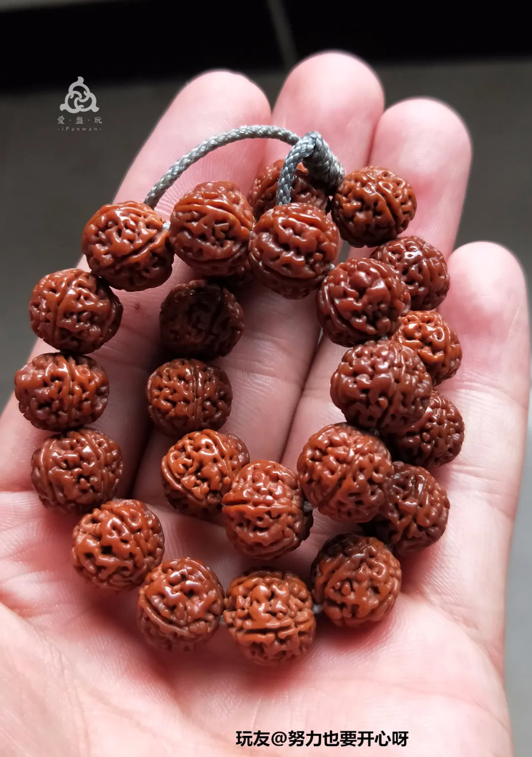 金刚多少钱(金刚砂多少钱一平米)-我的快乐小窝