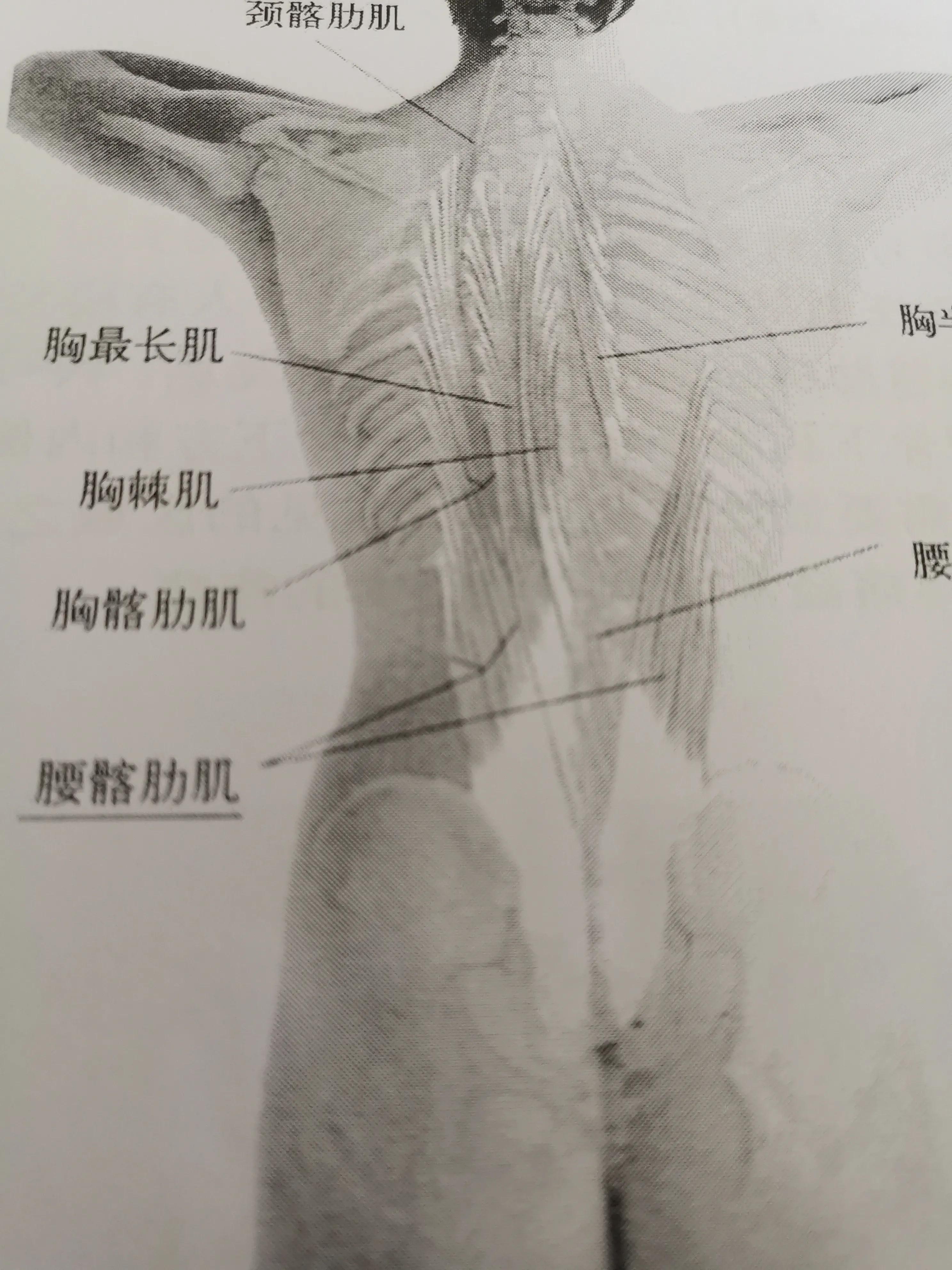 急性软组织损伤配合脱水营养神经药效果好