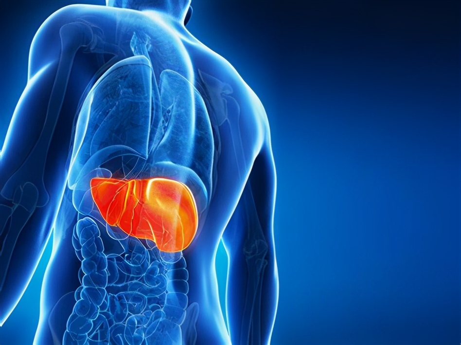 转氨酶高，该怎么办？如果你有肝损伤，请收下这篇雨露均沾的科普