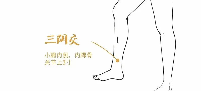 养肝补肾不花钱，每天按揉这些保健穴，养生效果看得见