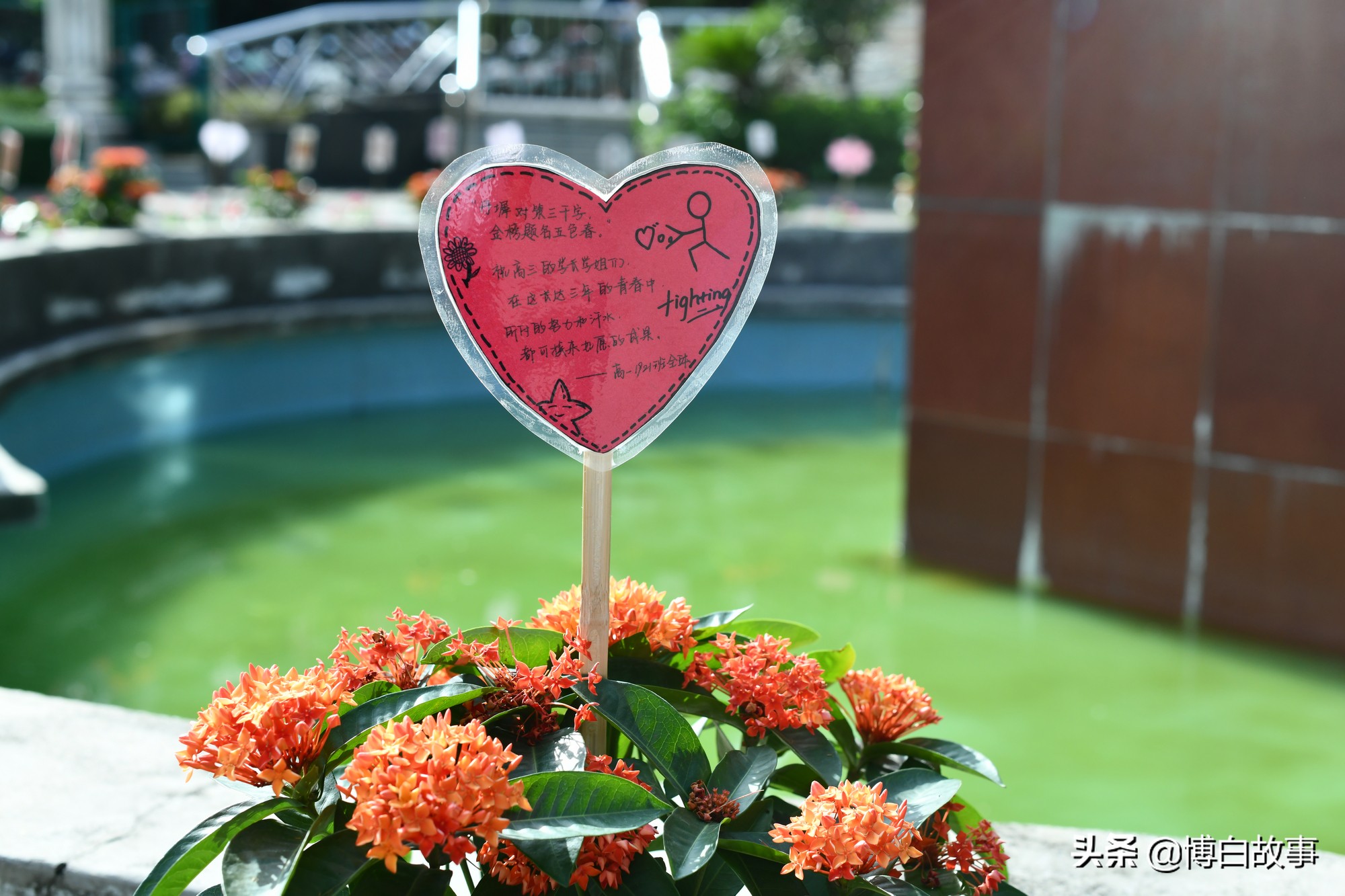 广西博白县中学做了大量工作，确保考生以最佳状态参加高考