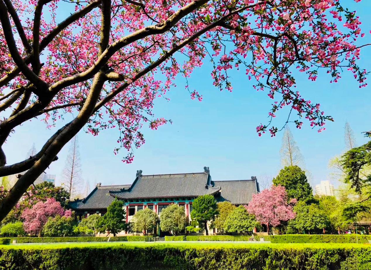 优秀！江苏这个