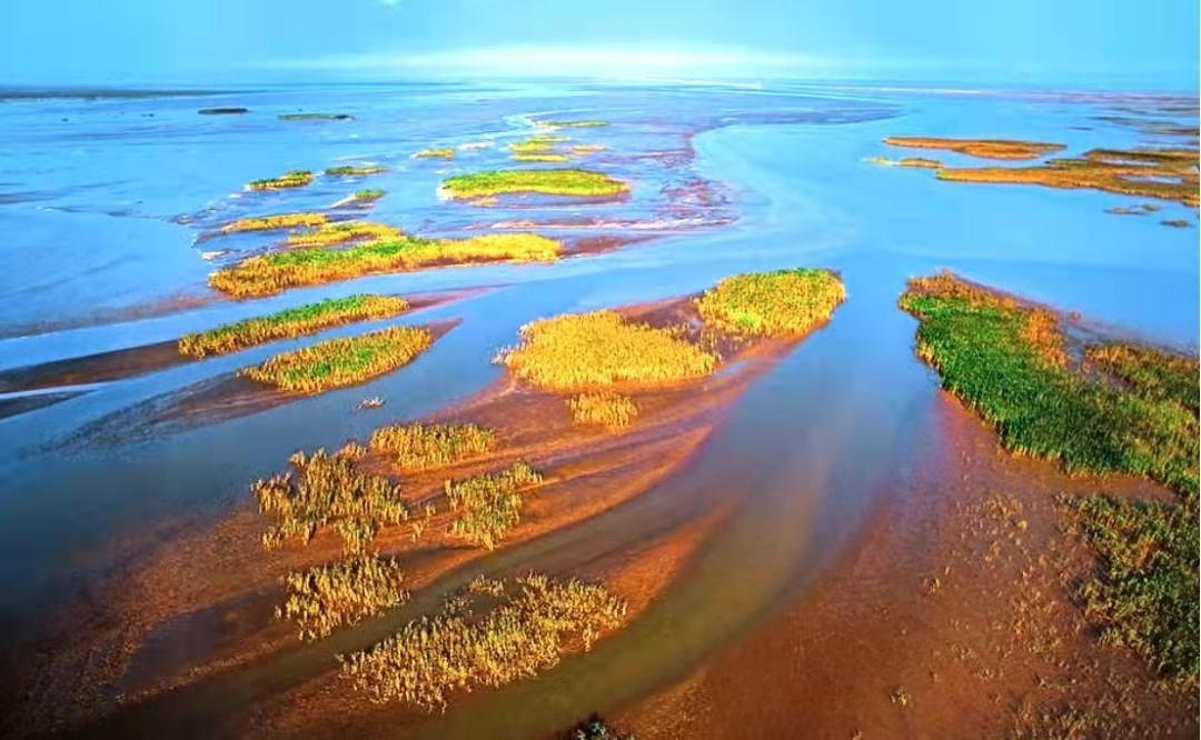 泛黄河三角洲湿地保护与修复研究 泛黄河三角洲湿地保护与修复研究