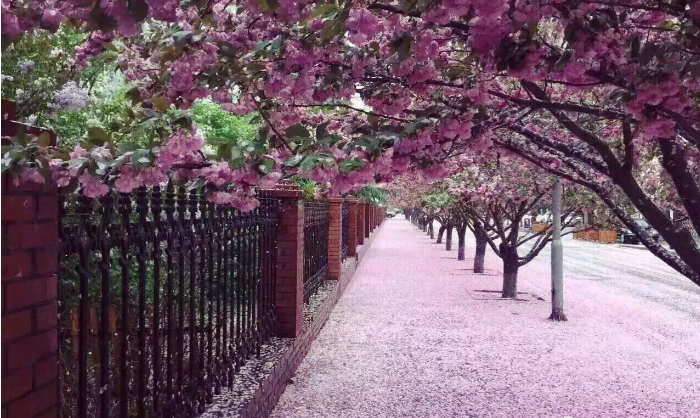 古人写雨的九首诗，带来三种不同状态的雨，直接美翻了