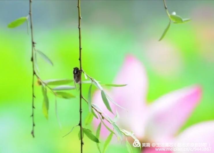 原创古风诗十首