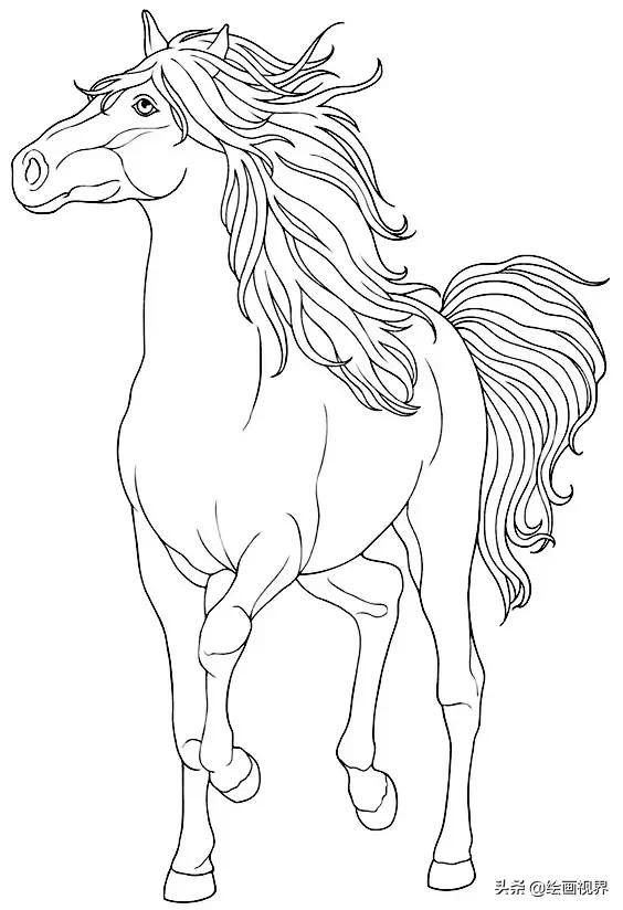 从造型到线条,10种马的画法高清线稿教你画,快临摹