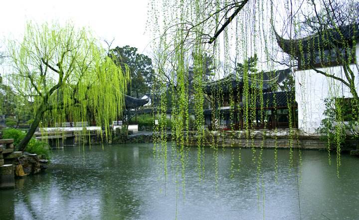 跟着古诗赏春天——《初春小雨》古诗赏析