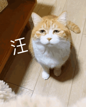 2020版最新法官、检察官表情大全！哈哈哈