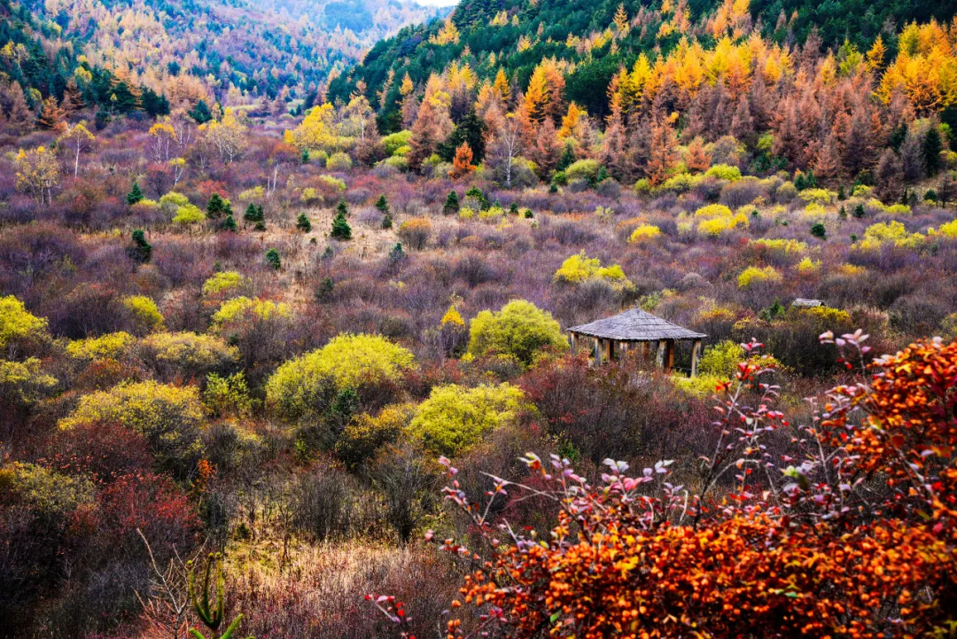 太美了!10个愈秋愈美的小众旅行地,错过只能再等一年