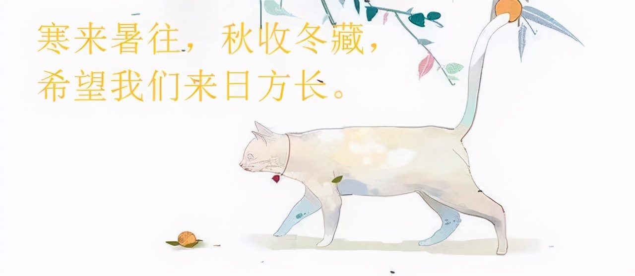 女主是道士系列文：算命风水捉鬼样样都会的貌美道姑也太可爱啦